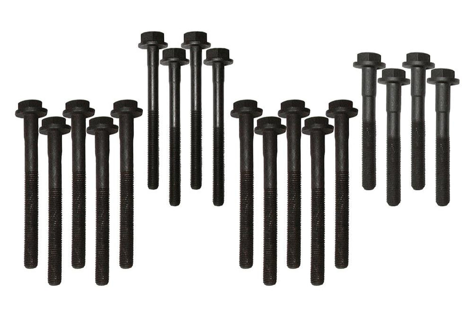 300TDI Head Bolt set