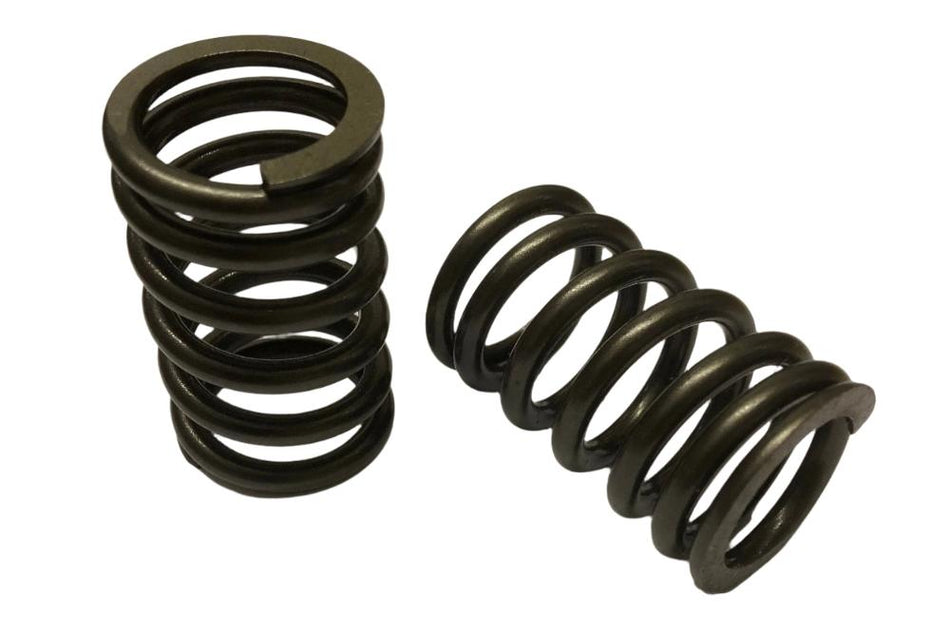 LR031454 Valve Spring