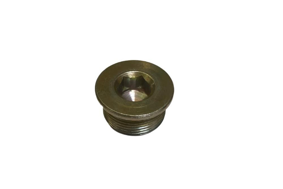 LCM100170 Threaded plug