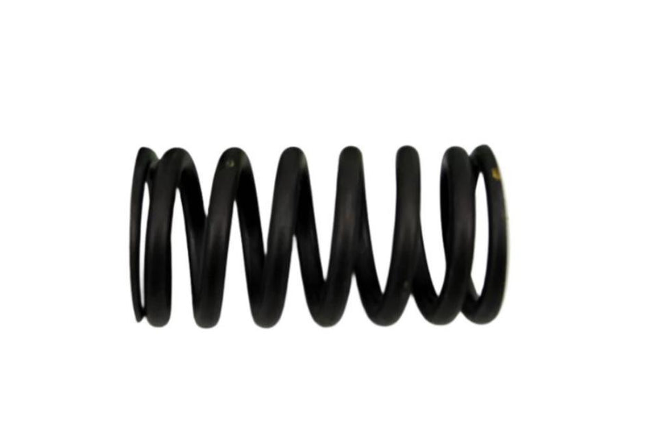 LGL500050 Valve Spring