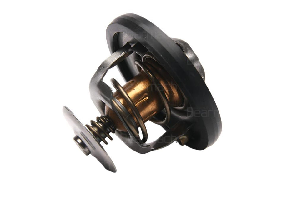 LR004618 Thermostat