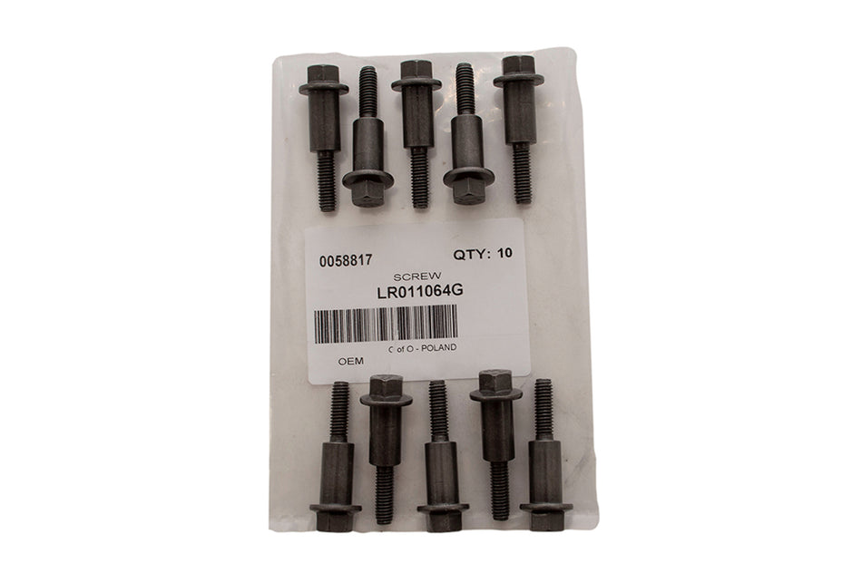 LR011064 Screw Chain Guide M6 x 38mm