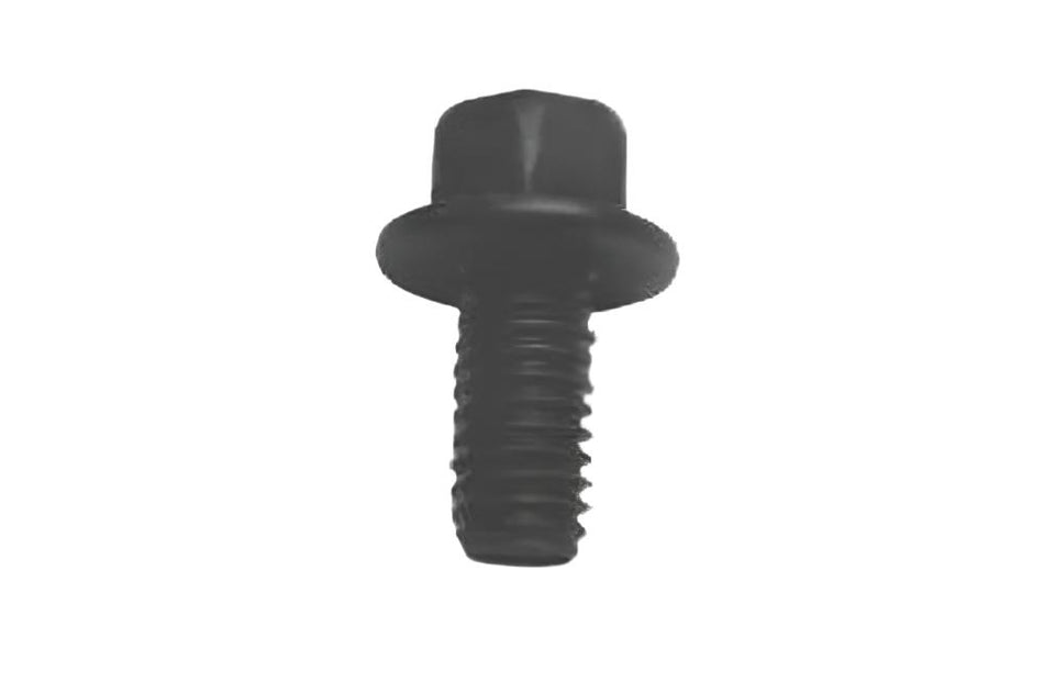 FS106125L Screw  M6 X 12mm- Flanged Head