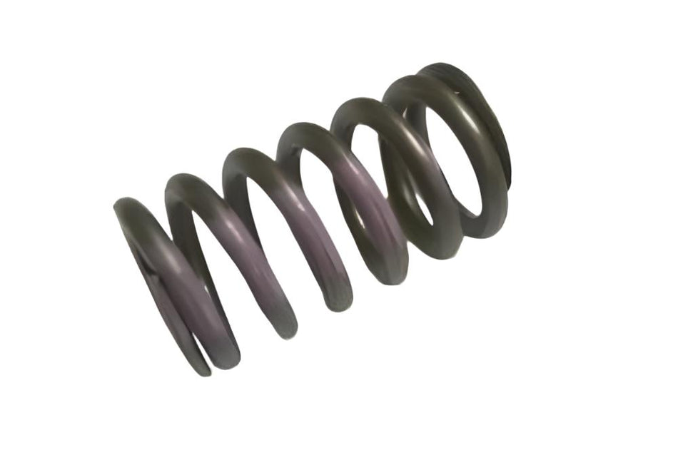 LR071681 Valve Spring